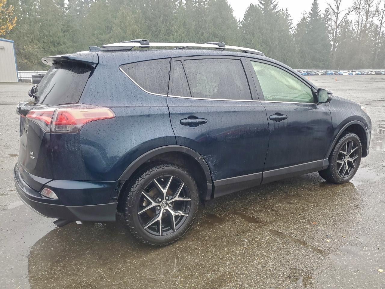 2017 TOYOTA RAV4 SE photo 3