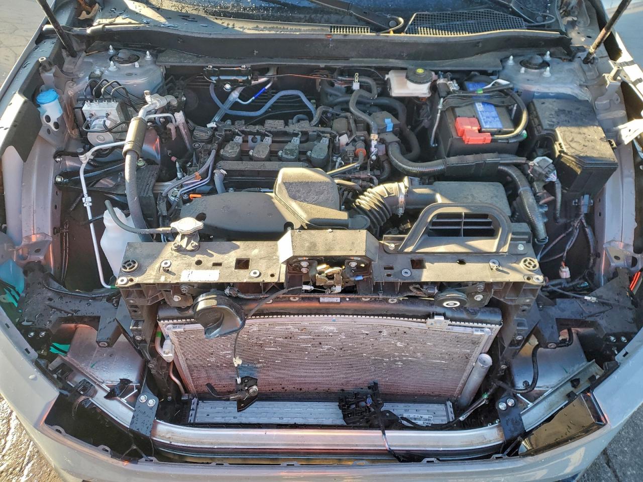 2025 HONDA CR-V EX photo 12