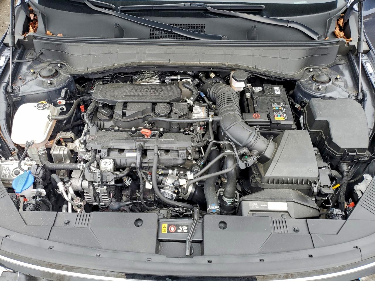 2024 HYUNDAI KONA LIMITED photo 11