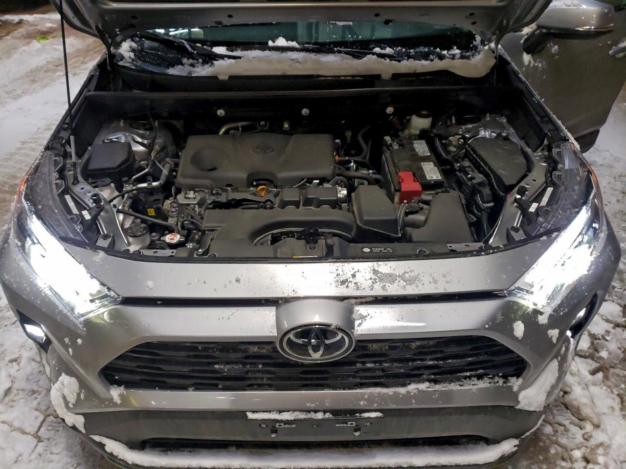 2025 TOYOTA RAV4 XLE photo 12