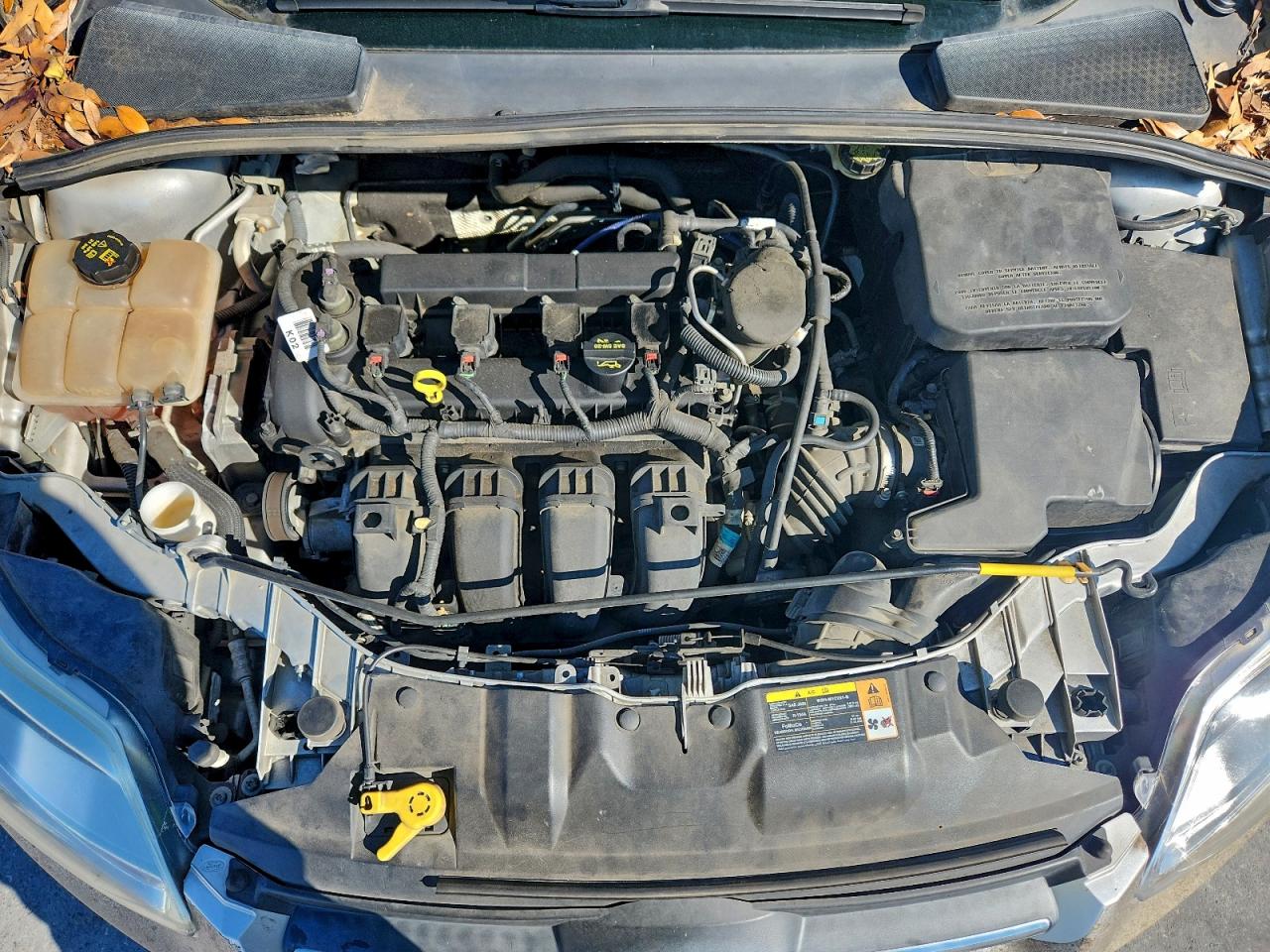 2014 FORD FOCUS SE photo 11