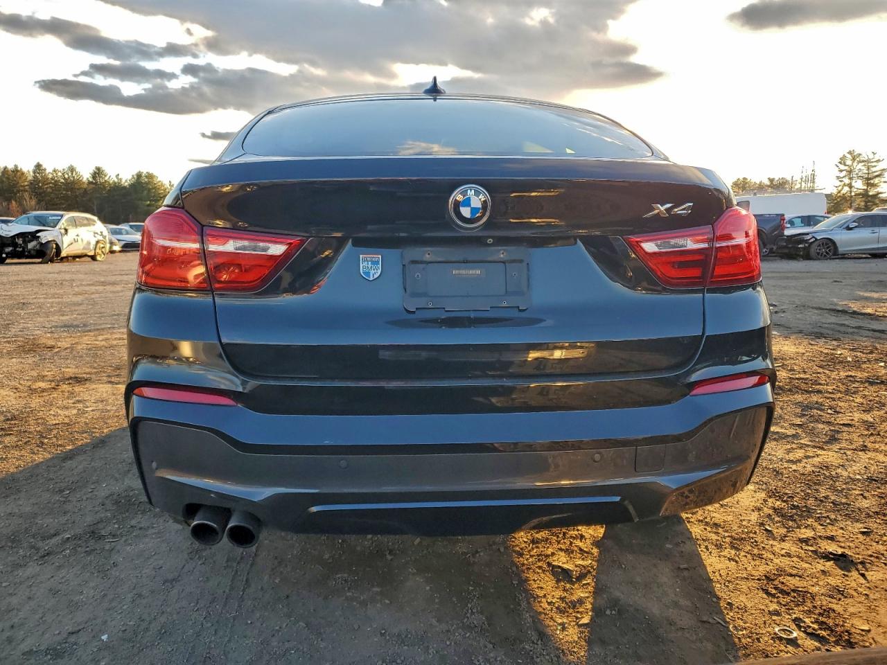 2016 BMW X4 XDRIVE28I photo 6