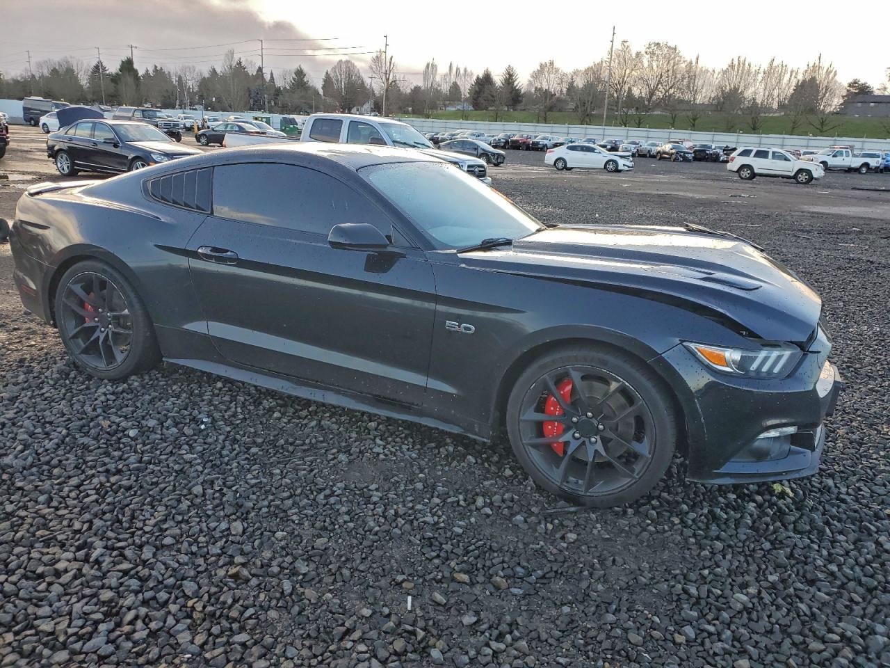 2017 FORD MUSTANG GT photo 10