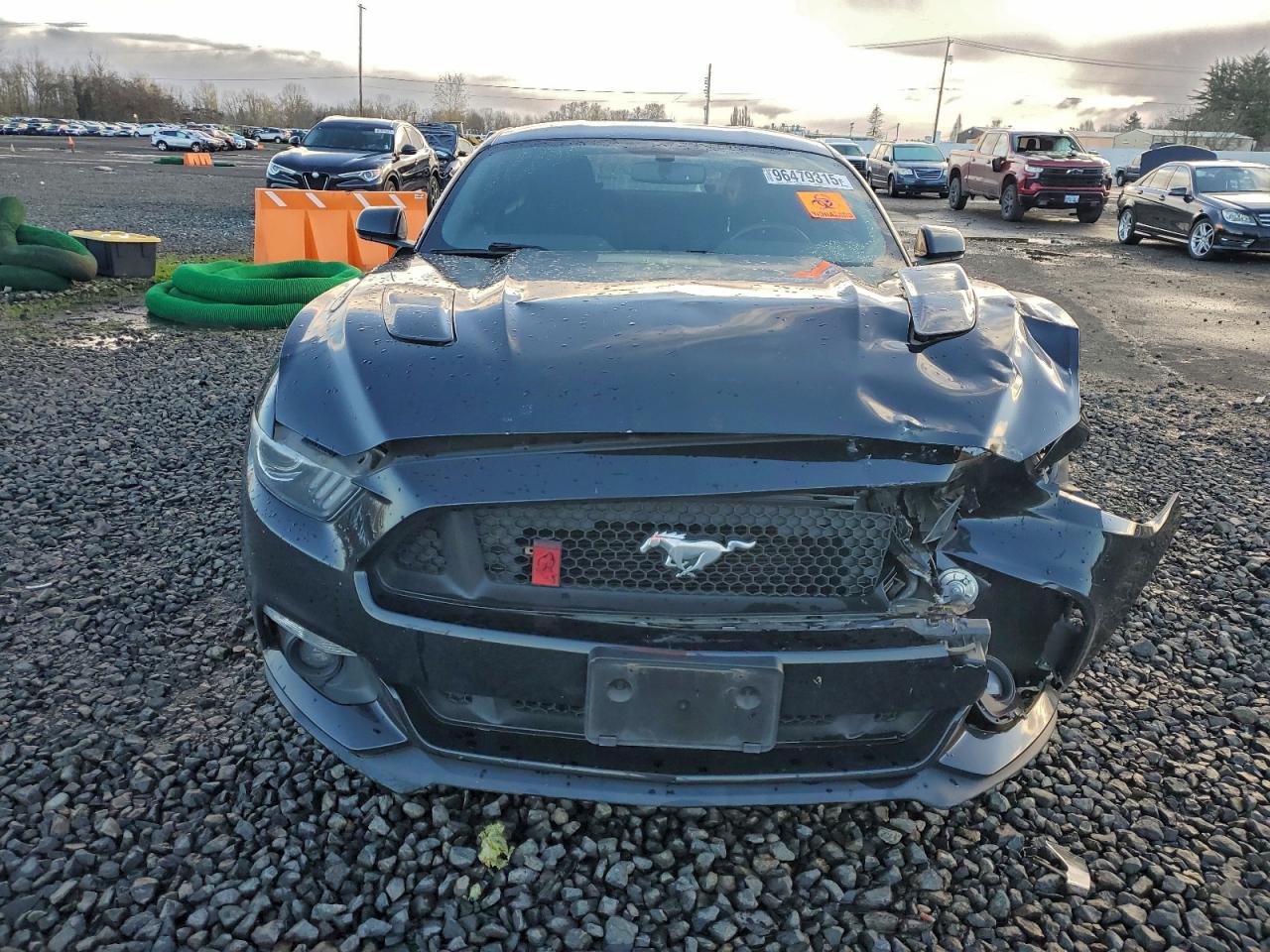 2017 FORD MUSTANG GT photo 13