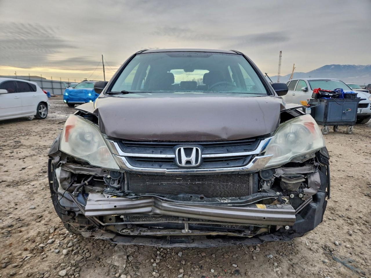 2010 HONDA CR-V LX photo 5