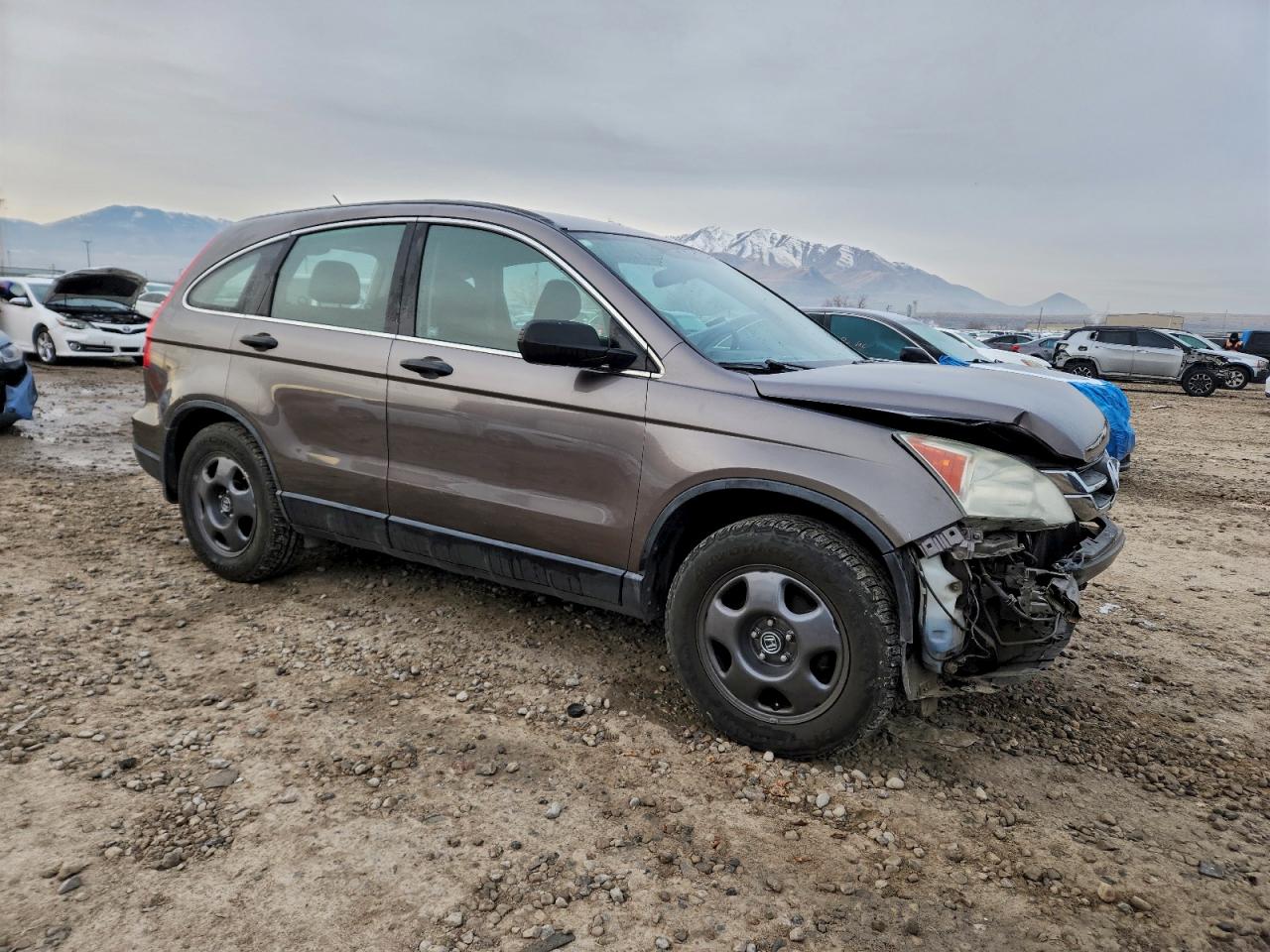 2010 HONDA CR-V LX photo 4
