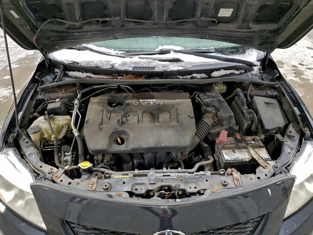 2010 TOYOTA COROLLA BASE photo 11