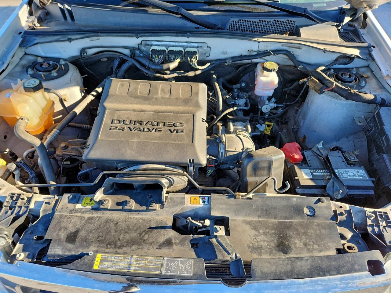 2010 FORD ESCAPE XLT photo 11