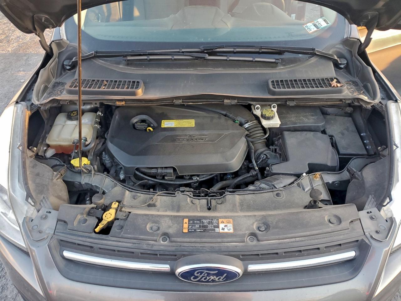2014 FORD ESCAPE SE photo 12