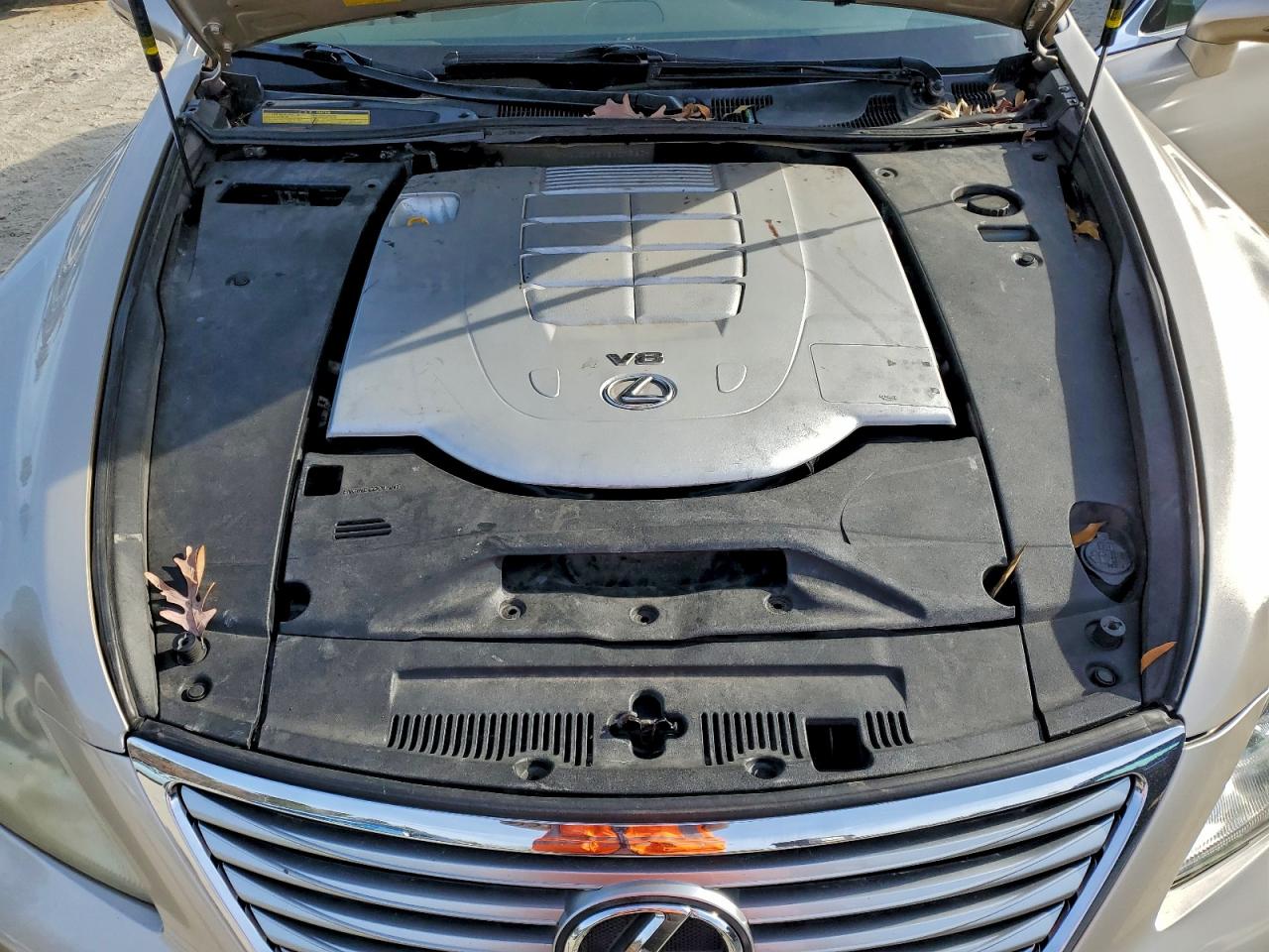 2010 LEXUS LS 460 photo 11