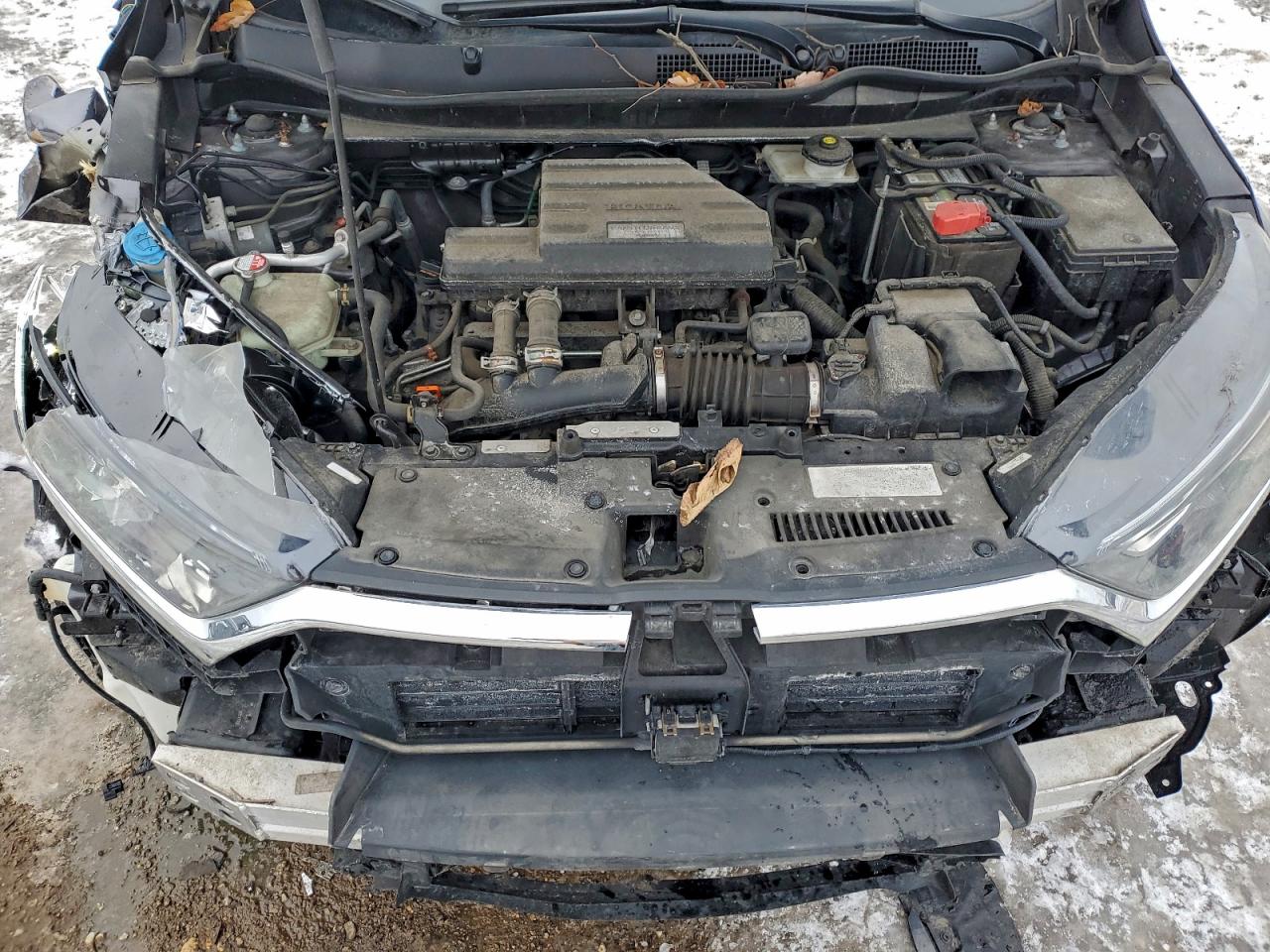 2018 HONDA CR-V EXL photo 11