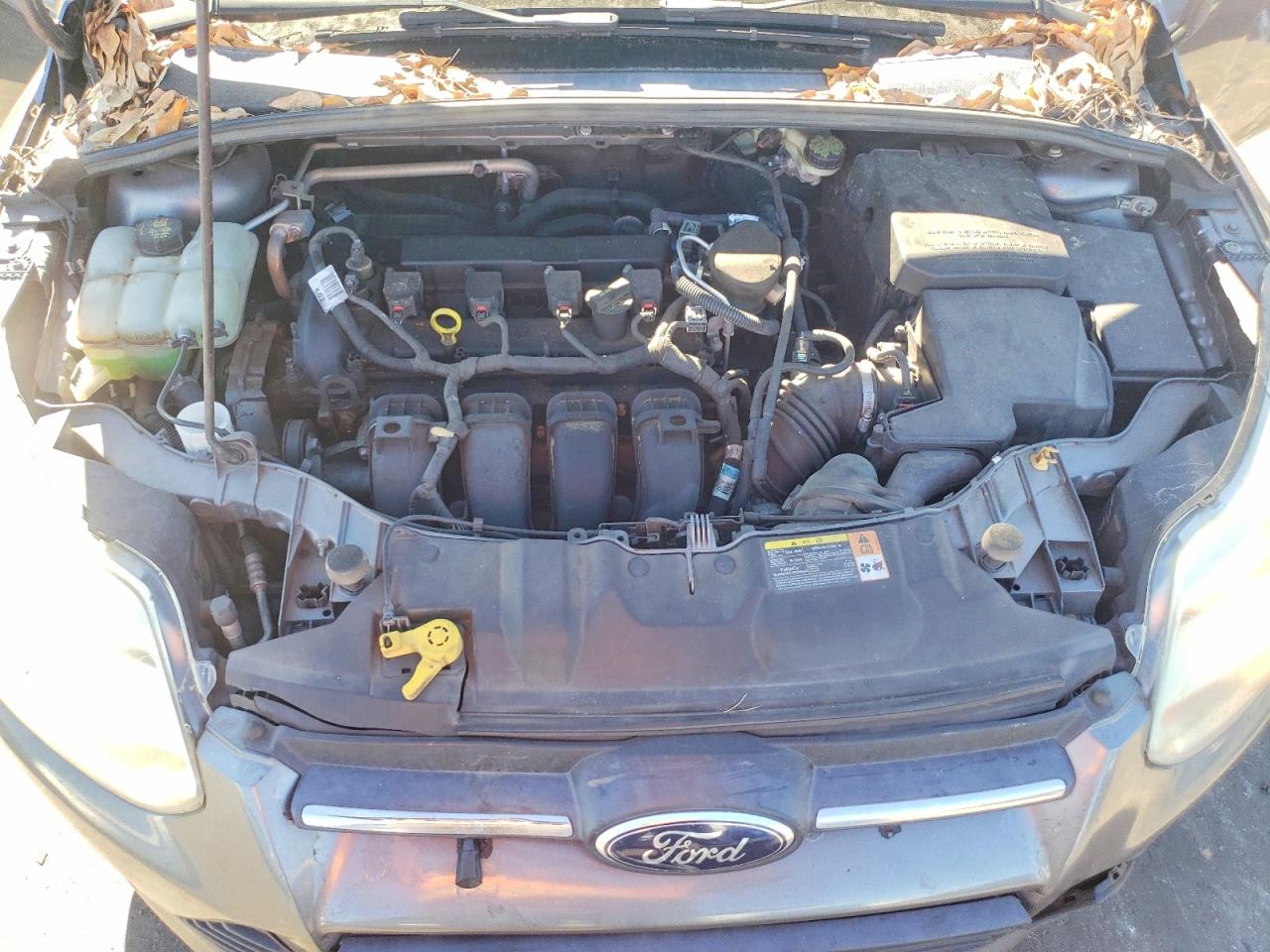 2014 FORD FOCUS SE photo 34