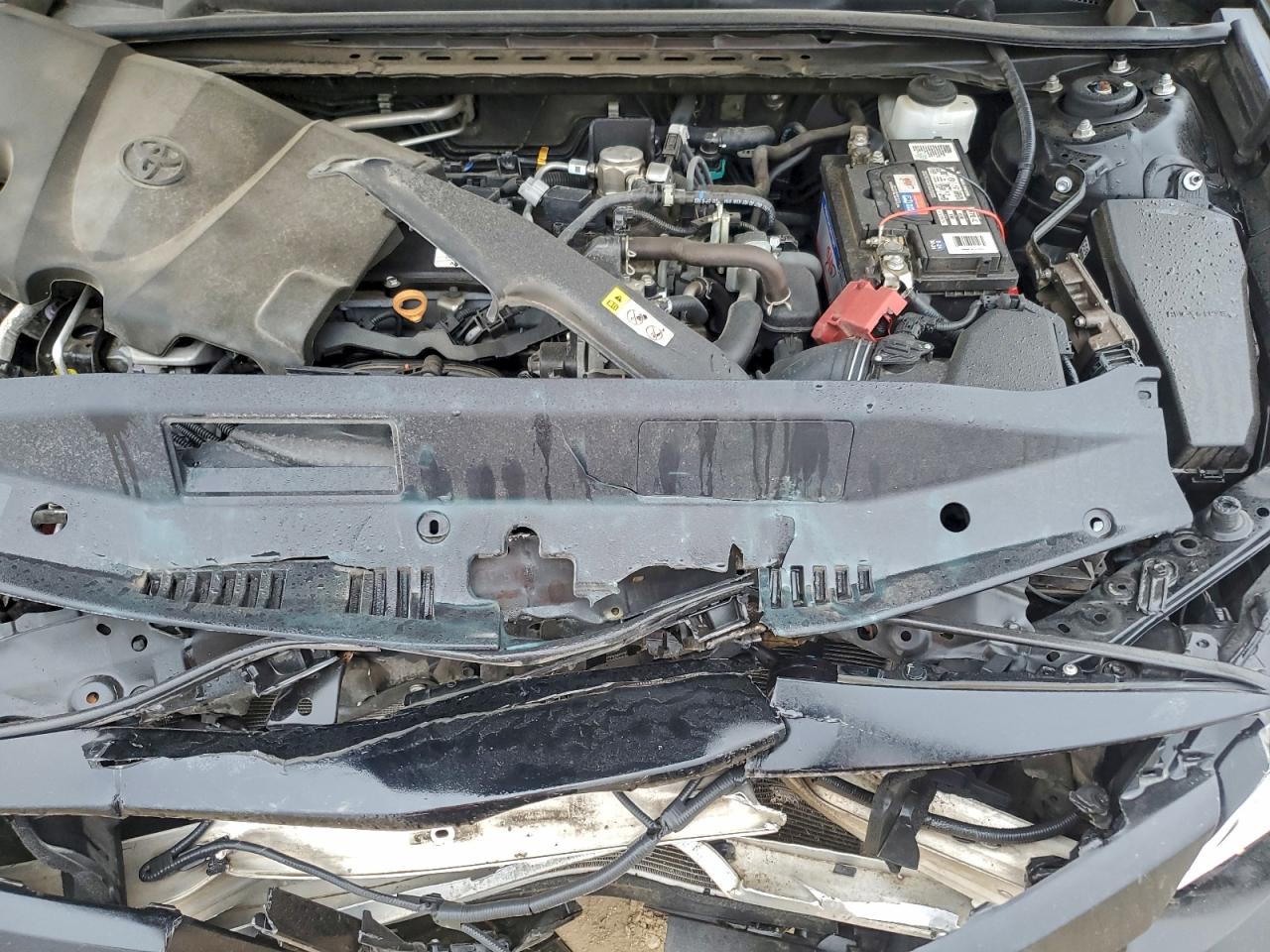 2019 TOYOTA CAMRY L photo 11