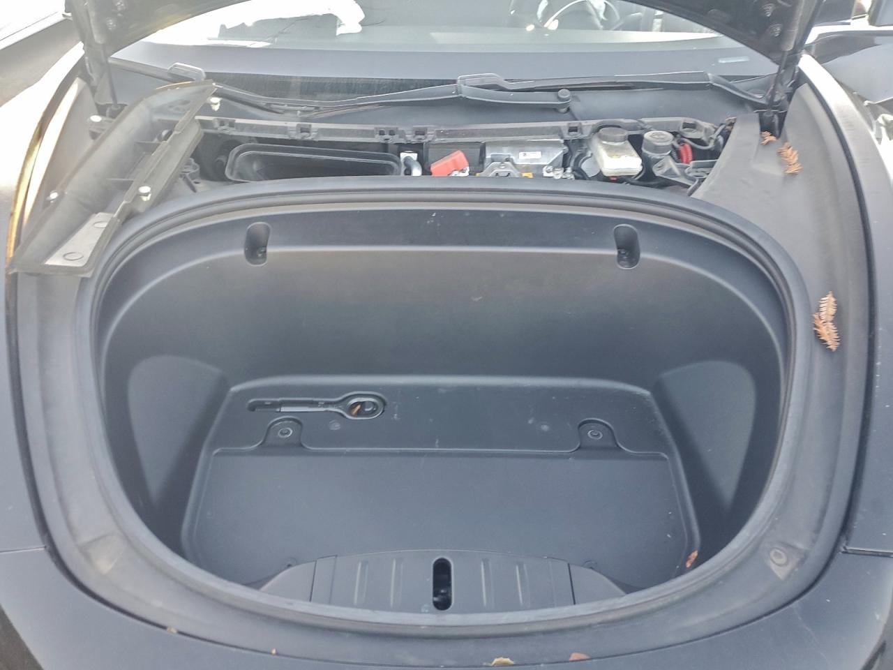 2020 TESLA MODEL 3 photo 11