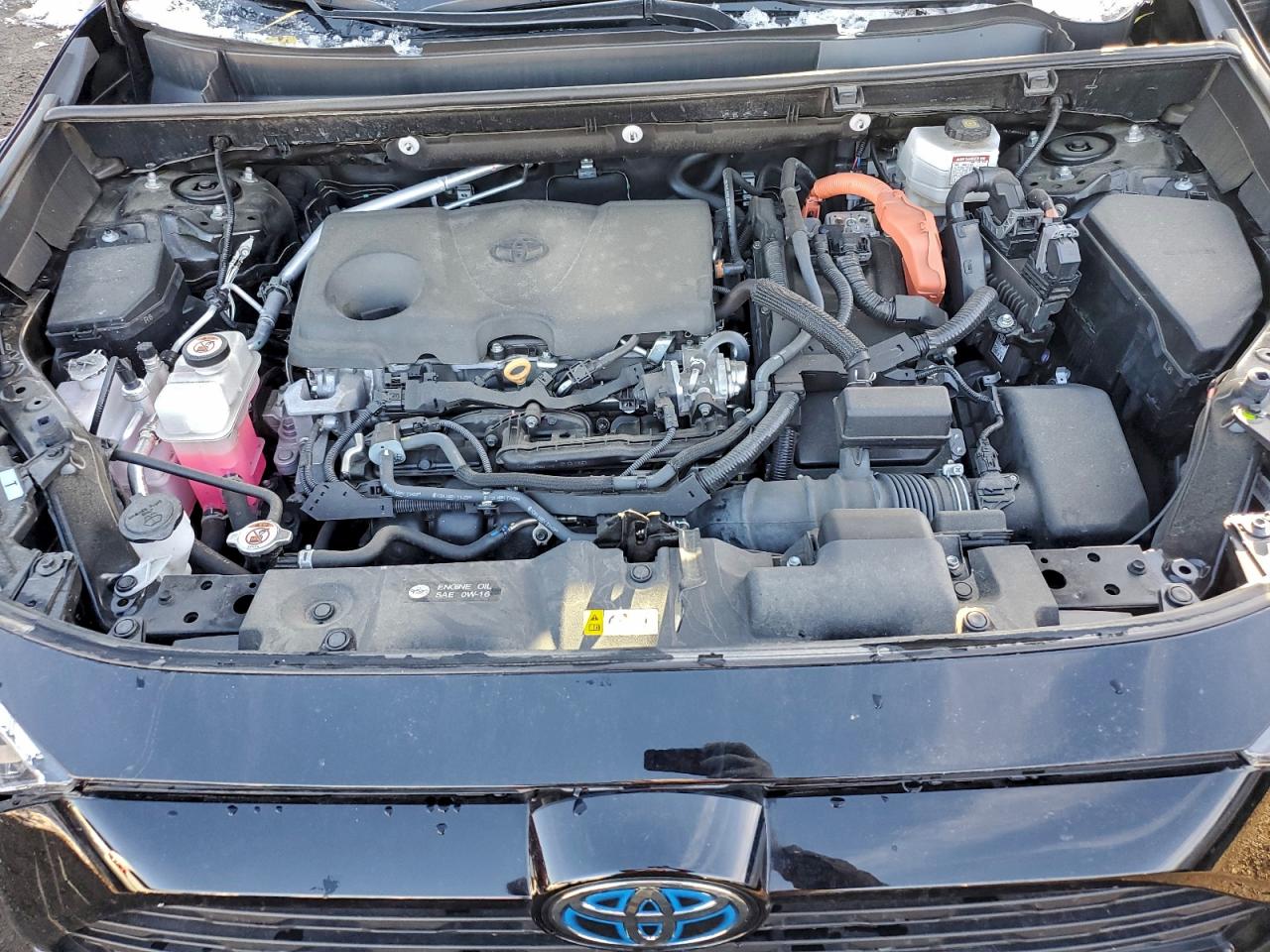 2024 TOYOTA RAV4 XLE photo 12
