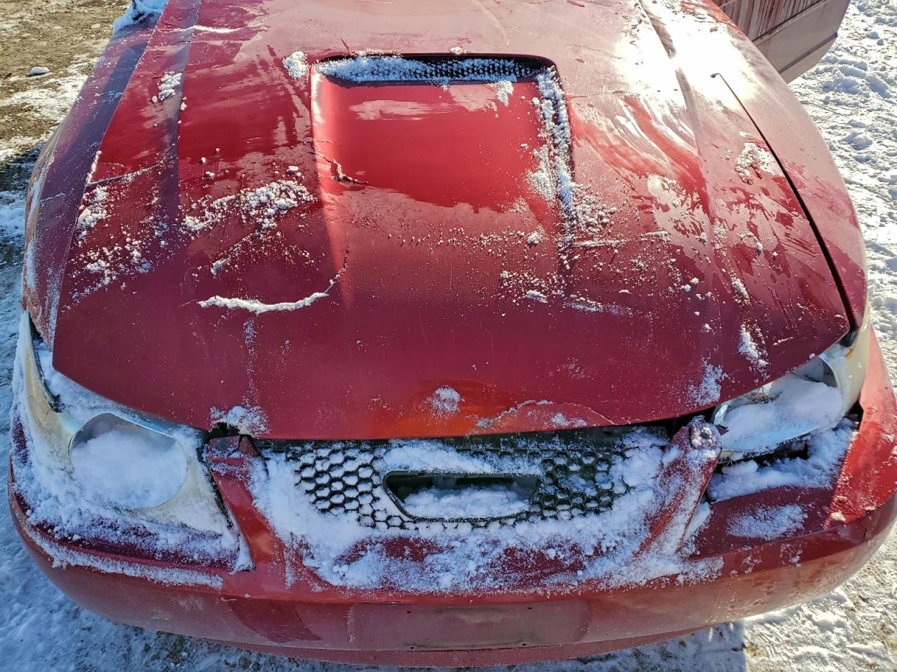 2000 FORD MUSTANG photo 11