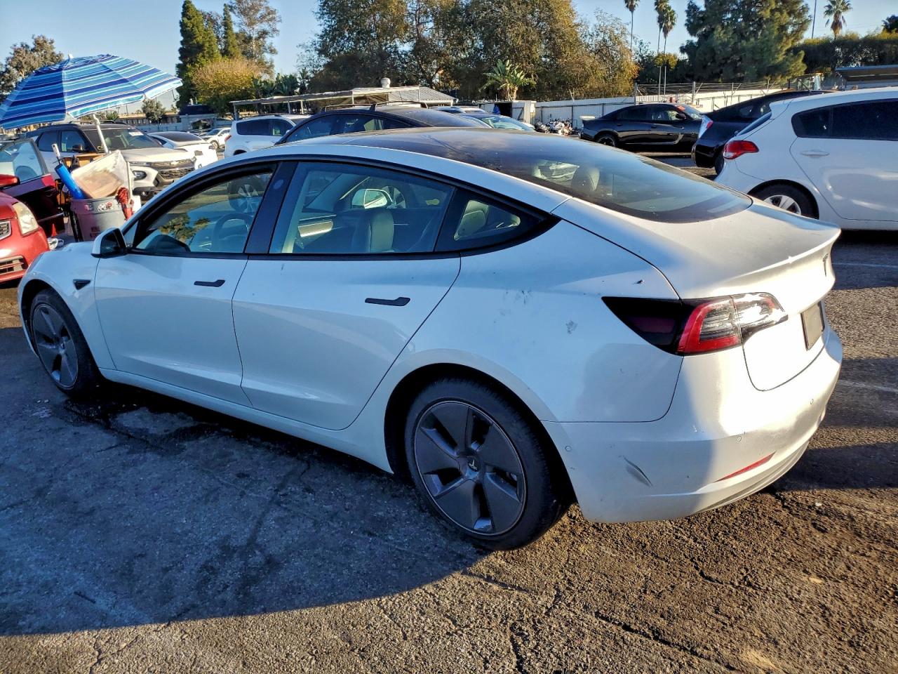 2022 TESLA MODEL 3 photo 2