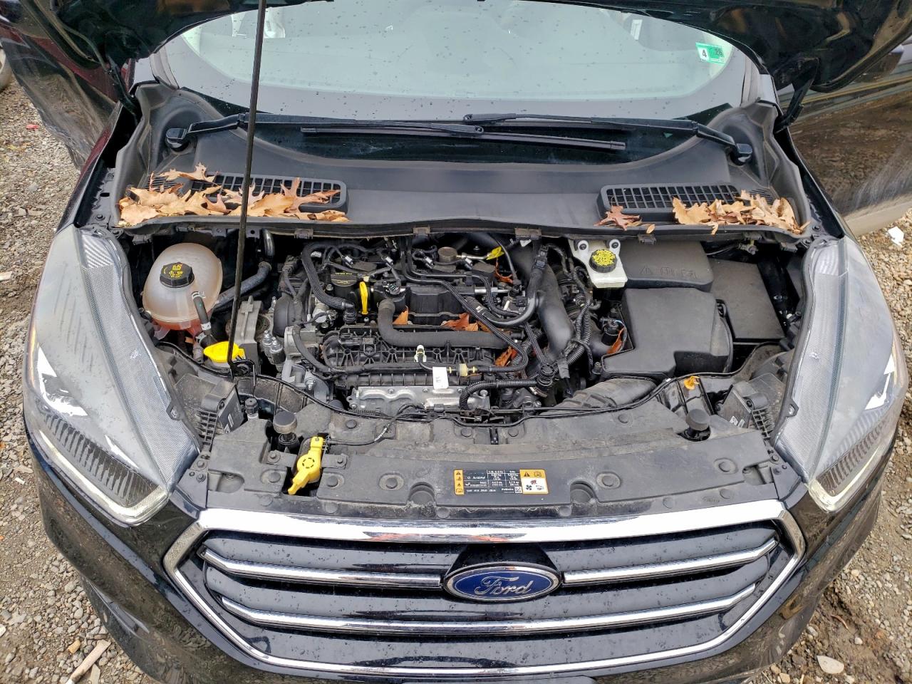 2019 FORD ESCAPE SE photo 12