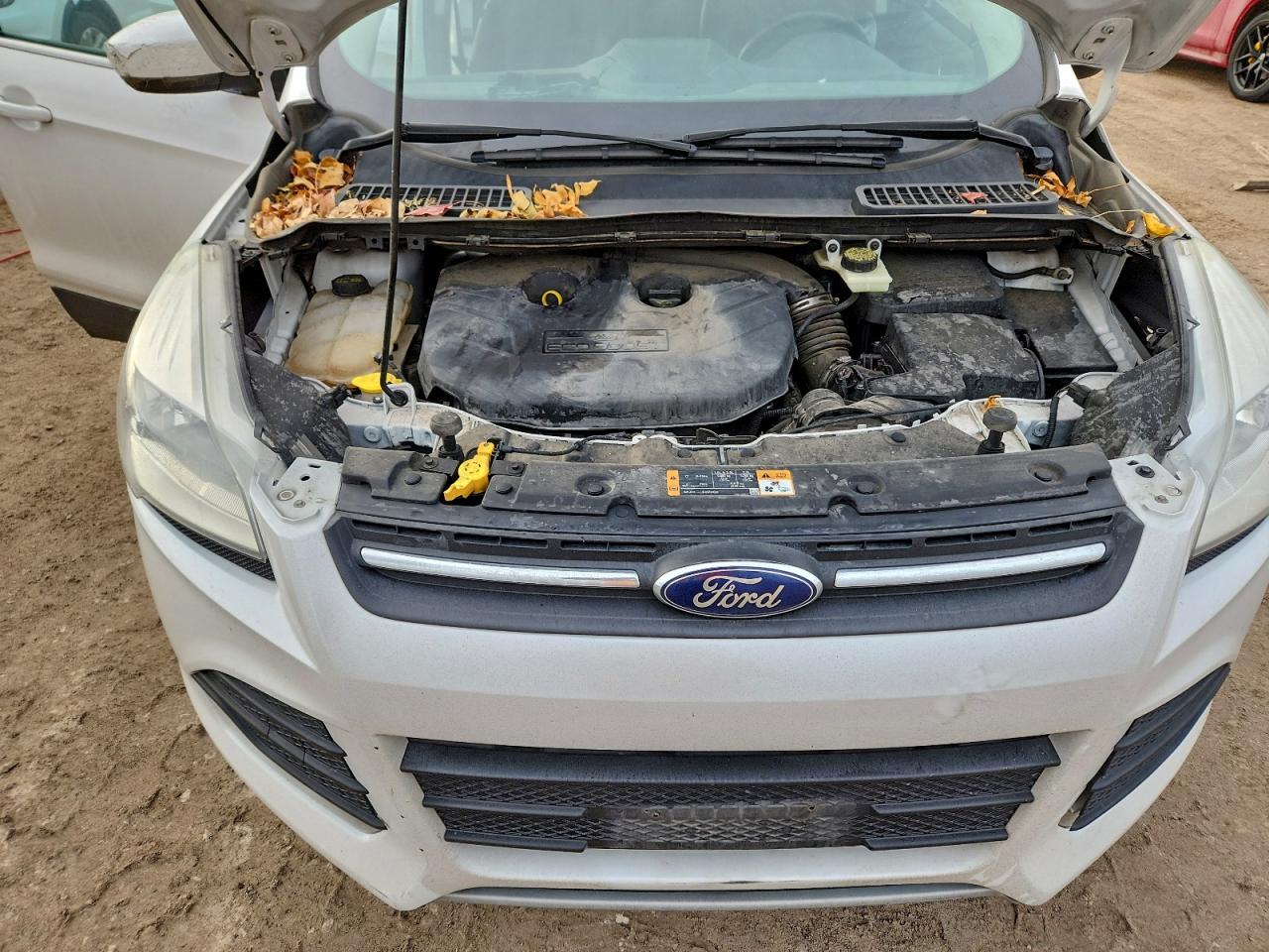 2014 FORD ESCAPE SE photo 12