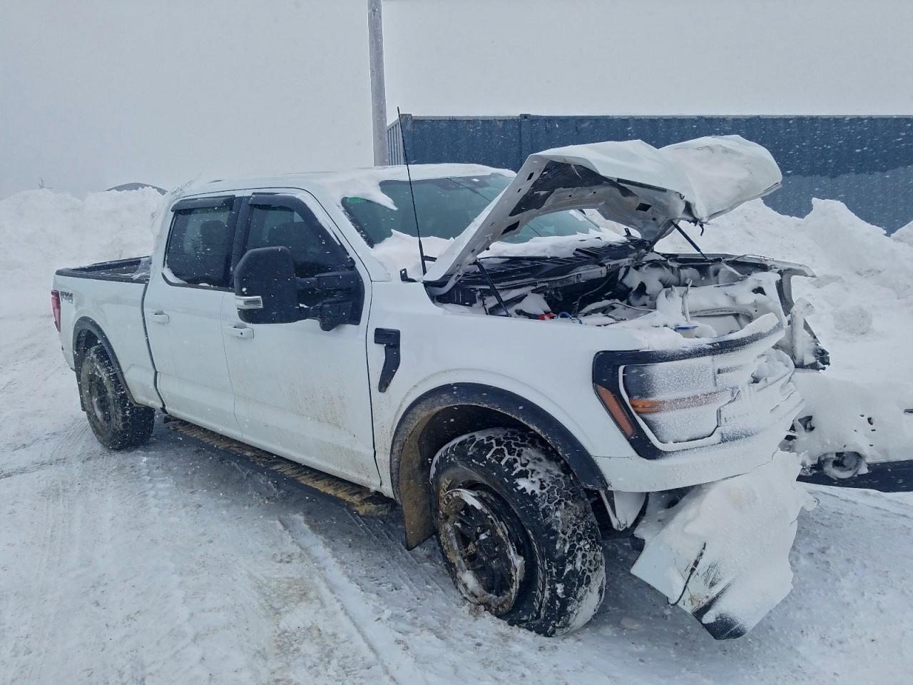 2024 FORD F150 XLT photo 7