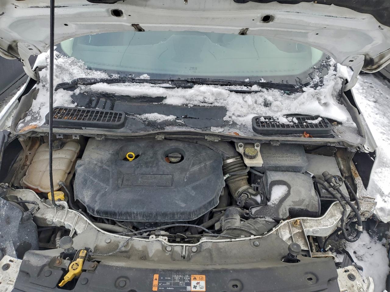 2014 FORD ESCAPE SE photo 12