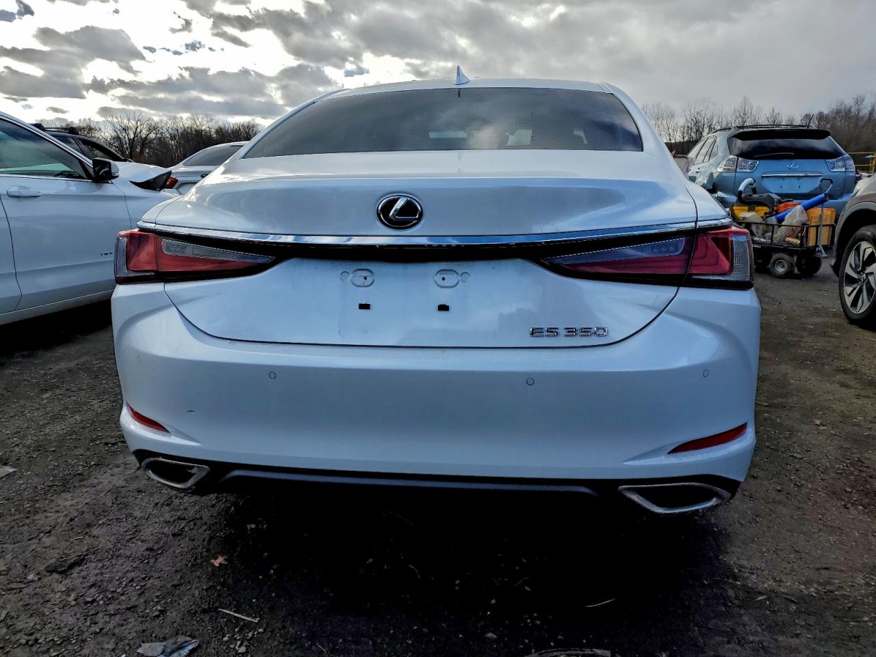 2019 LEXUS ES 350 photo 6