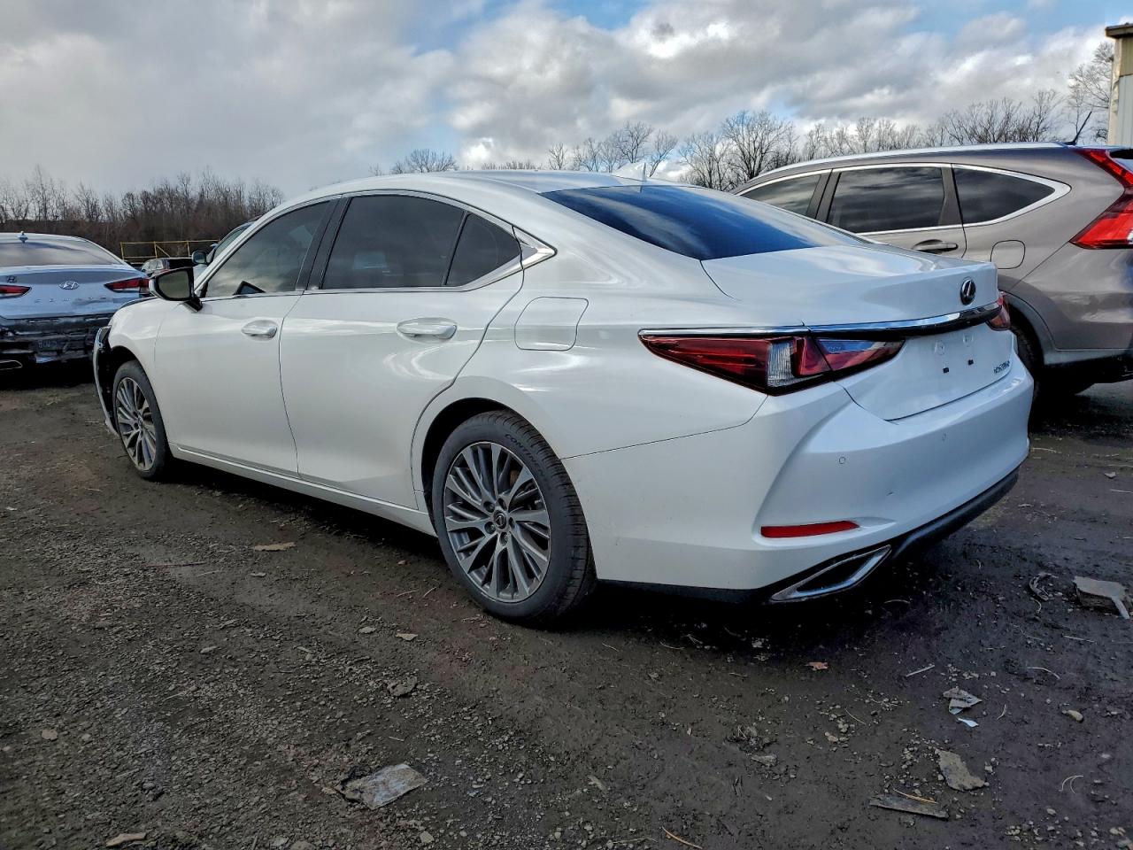 2019 LEXUS ES 350 photo 2