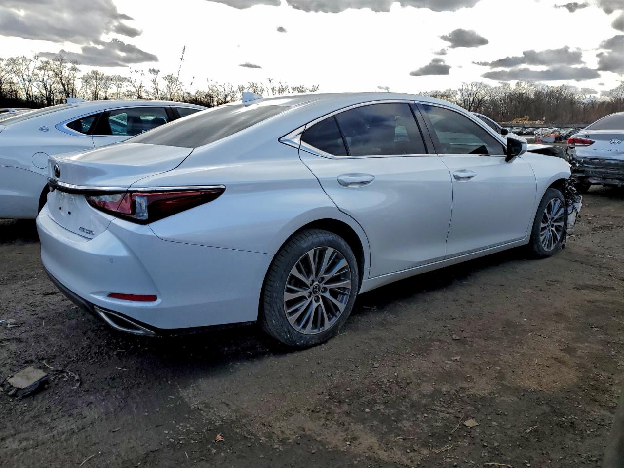 2019 LEXUS ES 350 photo 3
