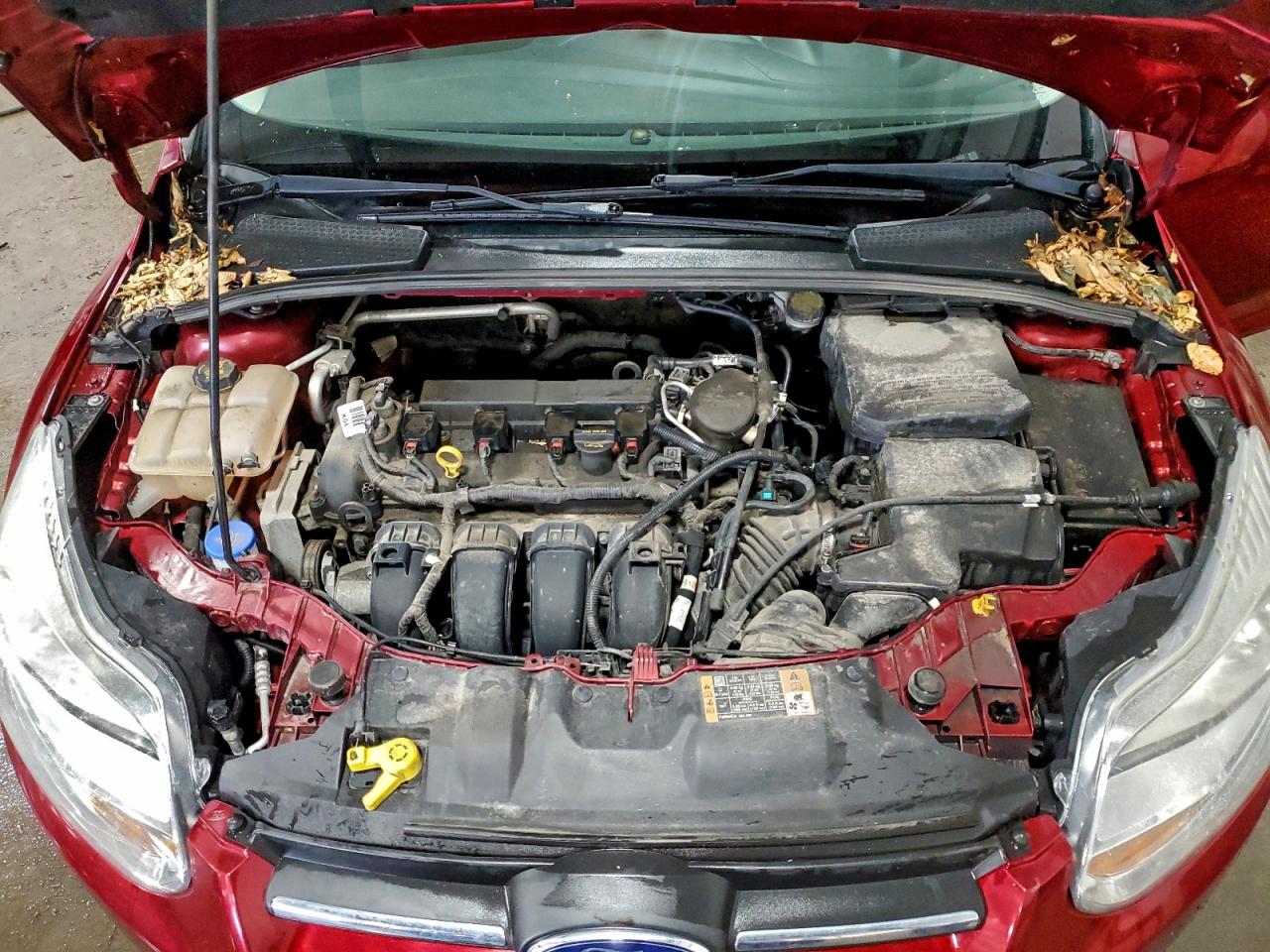 2014 FORD FOCUS SE photo 21