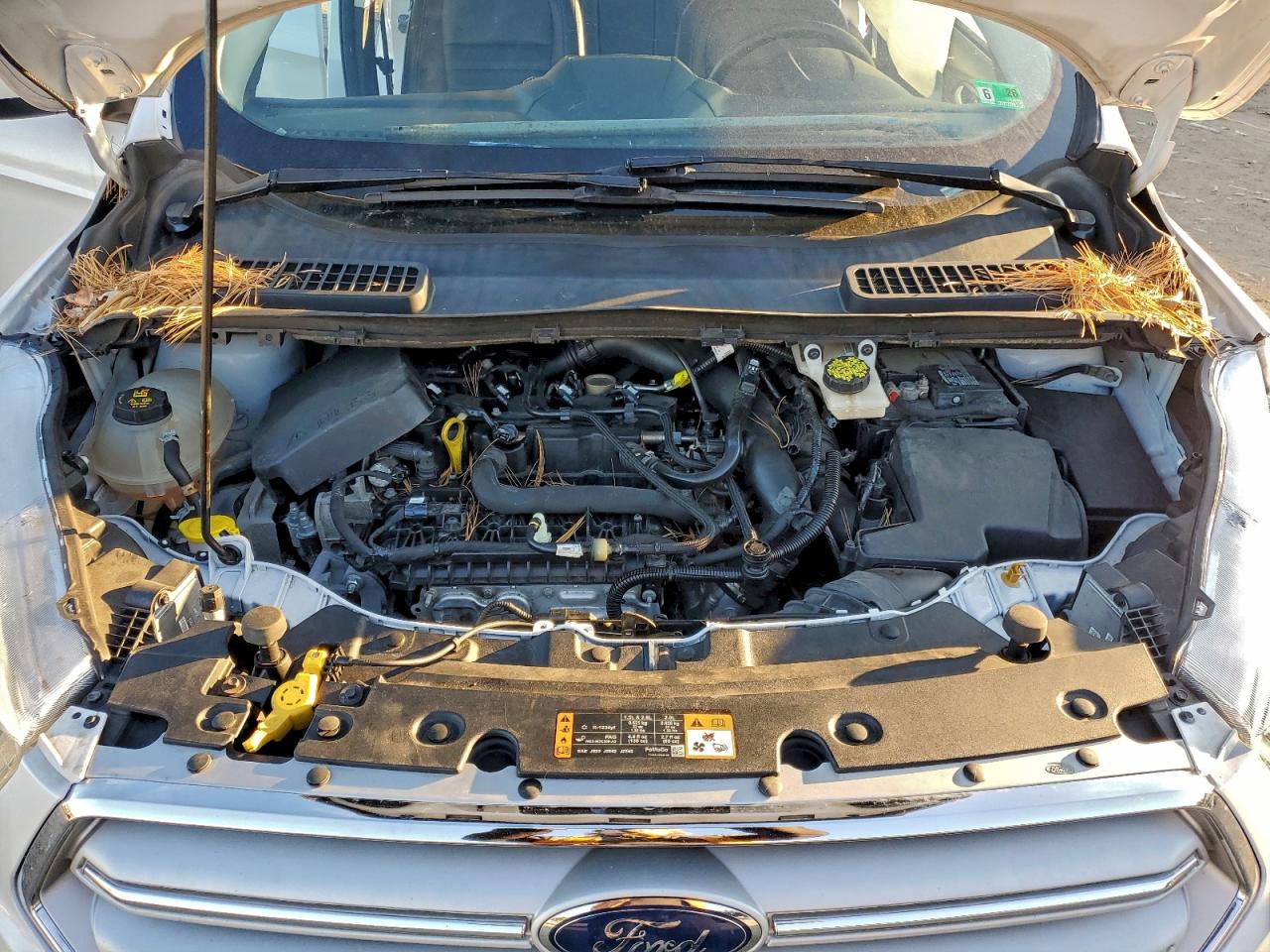 2019 FORD ESCAPE SEL photo 12