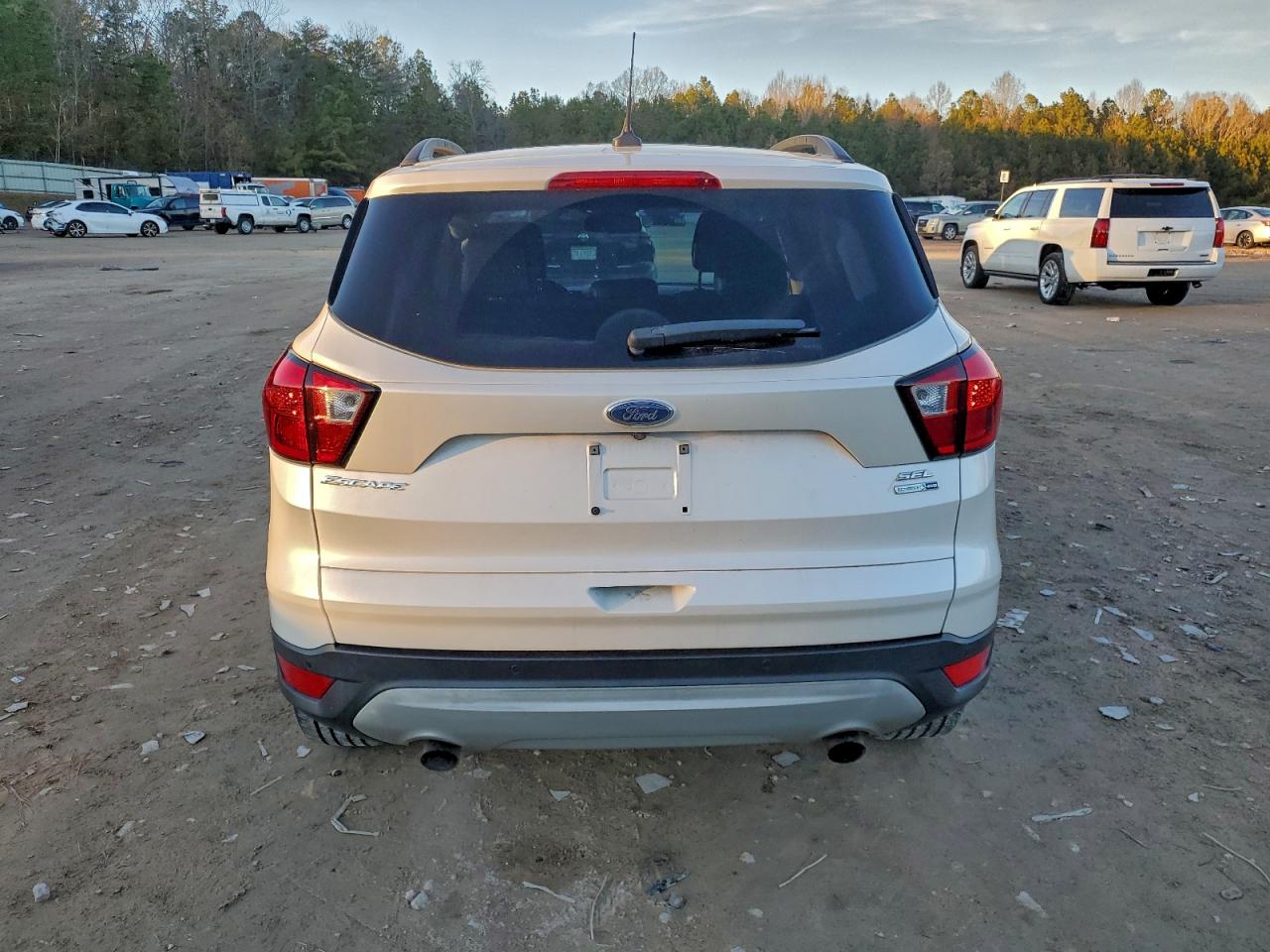 2019 FORD ESCAPE SEL photo 6