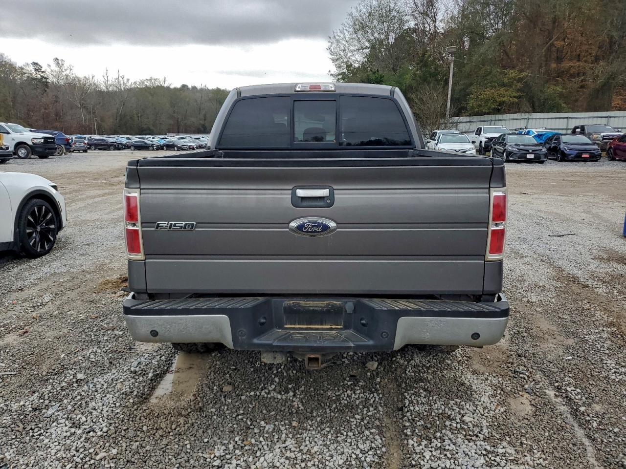 2014 FORD F150 SUPERCREW photo 6