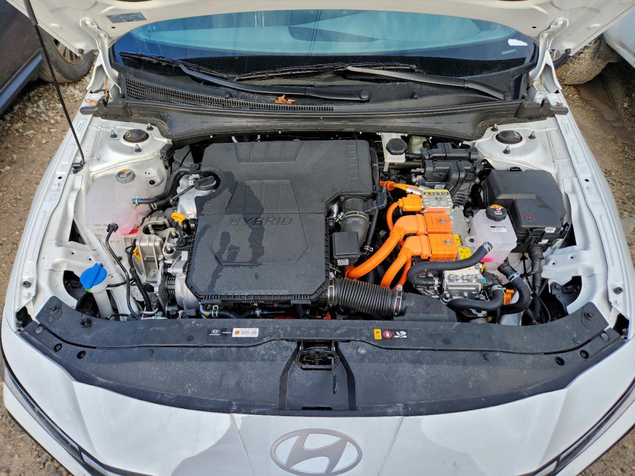 2025 HYUNDAI ELANTRA BLUE photo 11