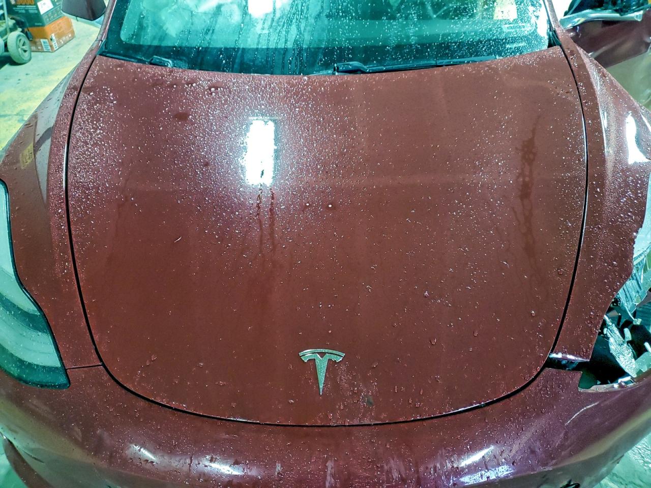 2019 TESLA MODEL 3 photo 11