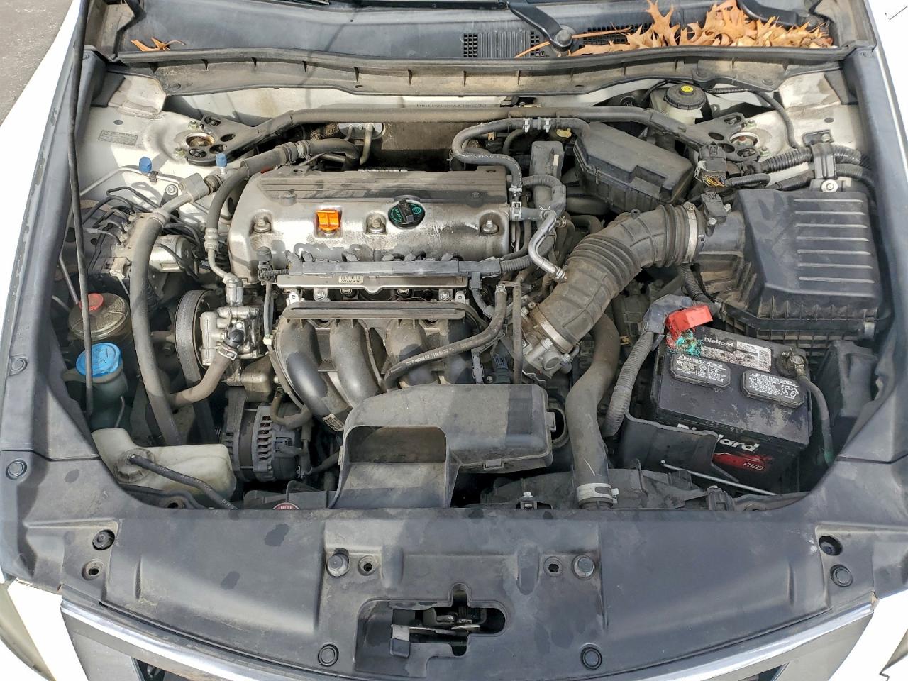 2010 HONDA ACCORD EXL photo 11