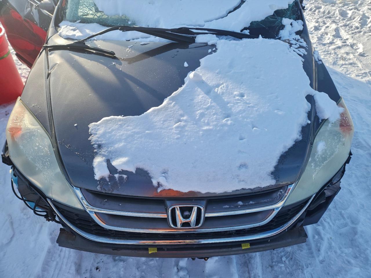 2010 HONDA CR-V EXL photo 12