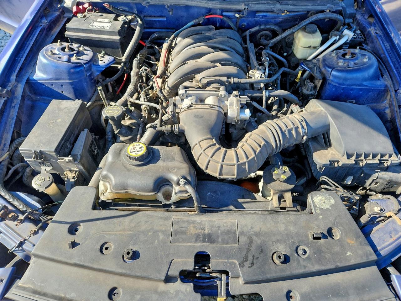 2006 FORD MUSTANG GT photo 11