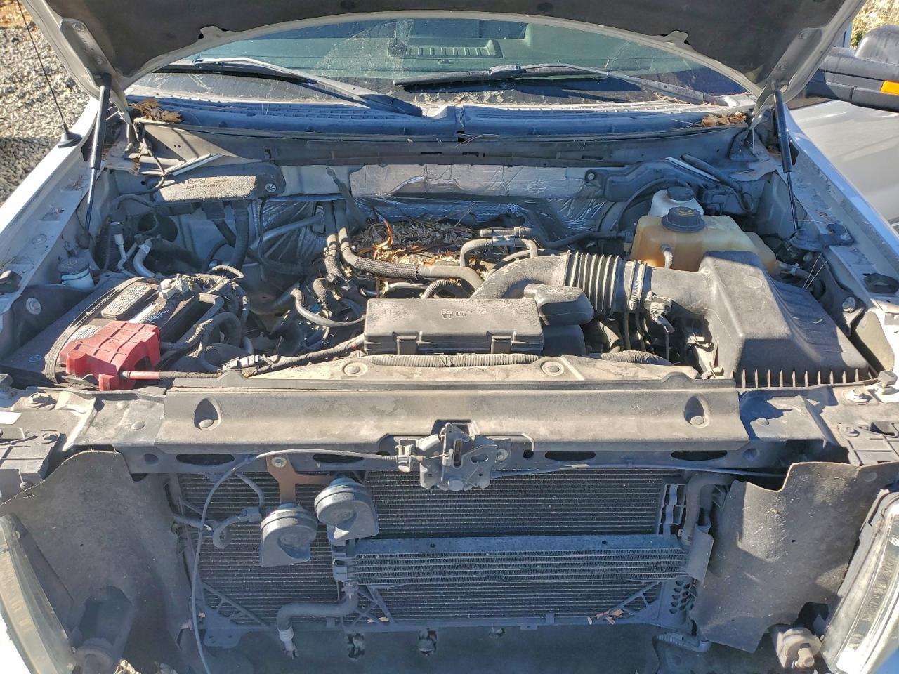 2011 FORD F150 SUPERCREW photo 11
