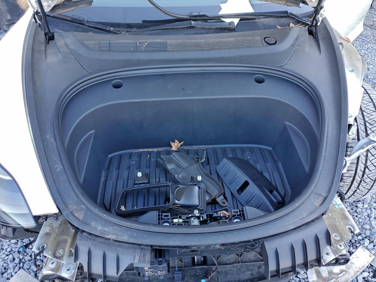 2021 TESLA MODEL 3 photo 31