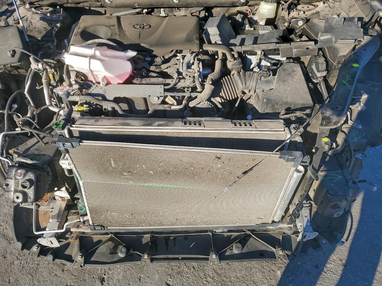2019 TOYOTA RAV4 XLE photo 12