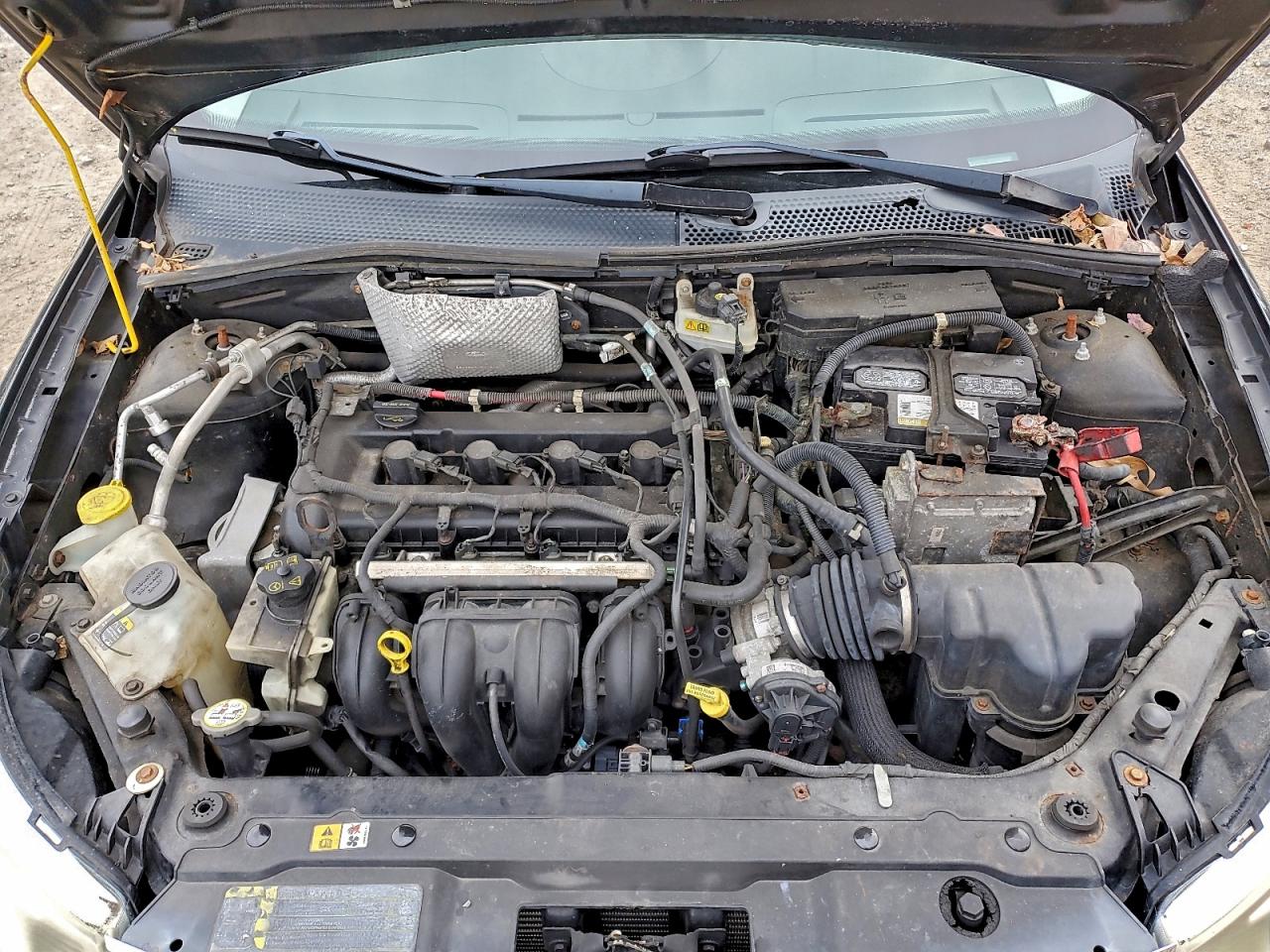 2009 FORD FOCUS SE photo 11
