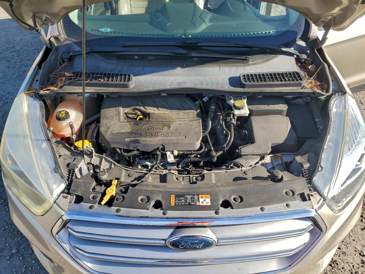 2017 FORD ESCAPE TITANIUM photo 12