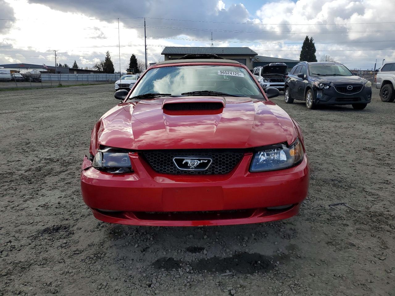 2001 FORD MUSTANG GT photo 5