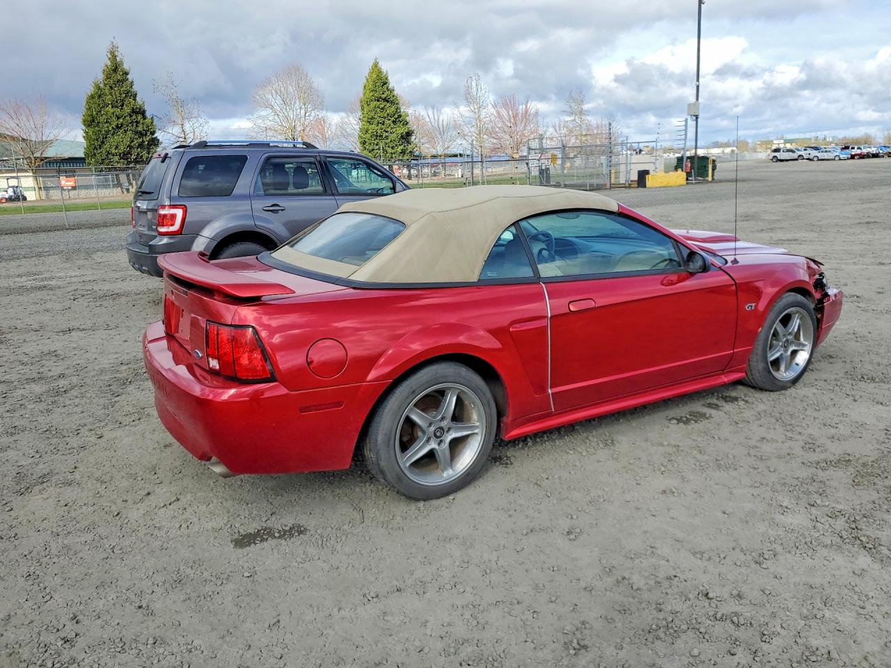 2001 FORD MUSTANG GT photo 3