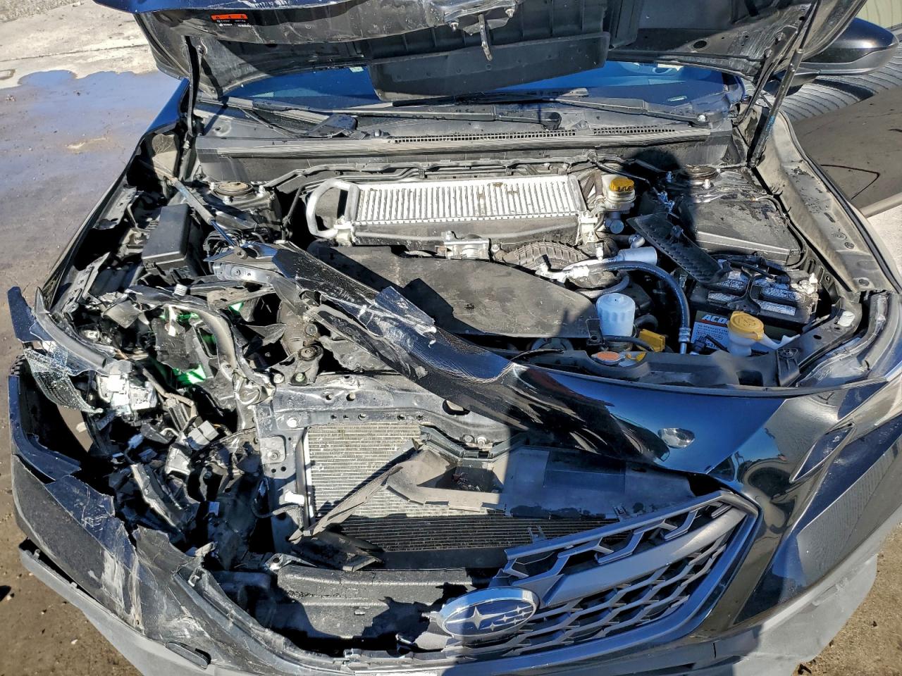 2023 SUBARU WRX photo 11