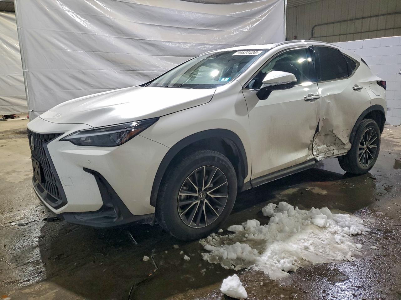 2025 LEXUS NX