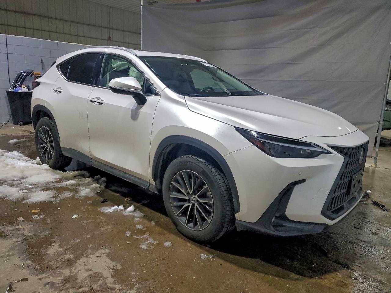 2025 LEXUS NX 350 BASE photo 4