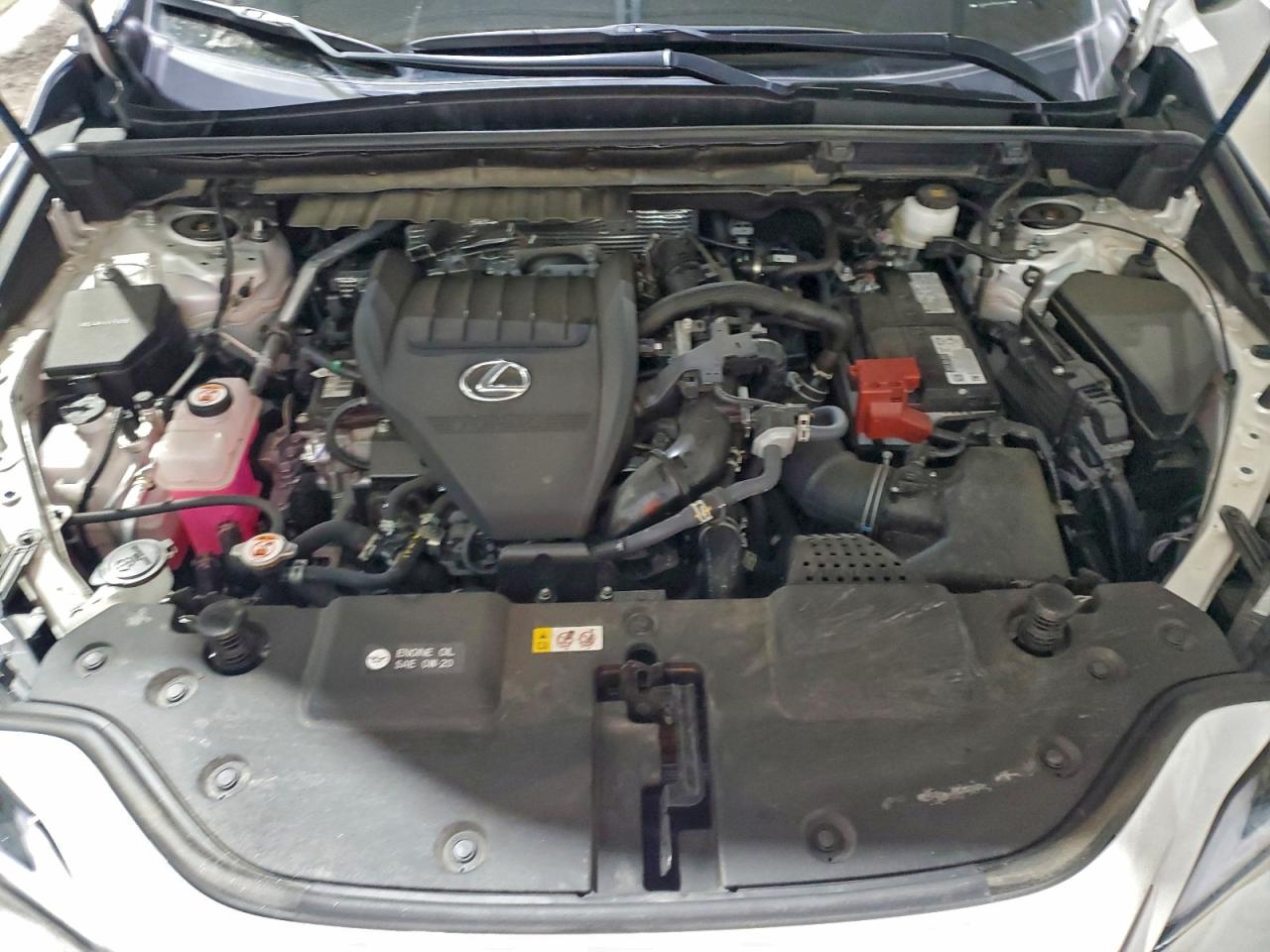 2025 LEXUS NX 350 BASE photo 12