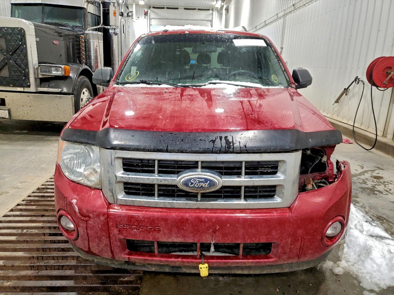 2010 FORD ESCAPE XLT photo 5