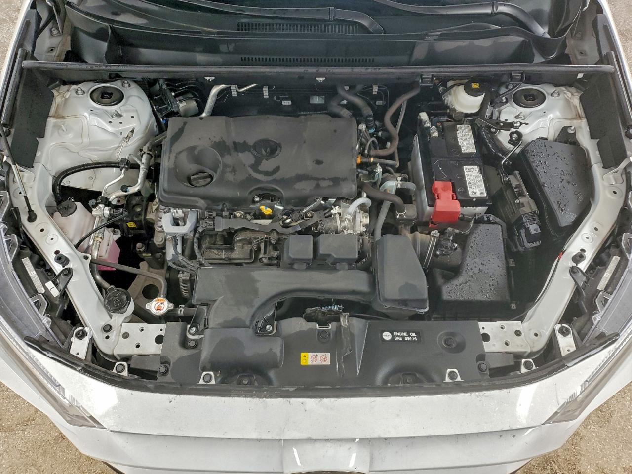 2025 TOYOTA RAV4 LE photo 23